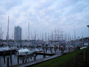 P5080026t.JPG