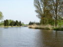 P5110023t.JPG
