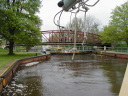 P5110027t.JPG