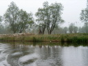 P5120002t.JPG